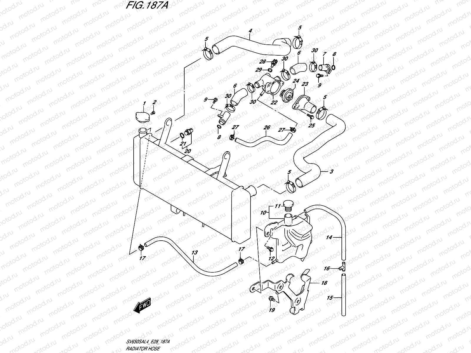 187A - RADIATOR HOSE