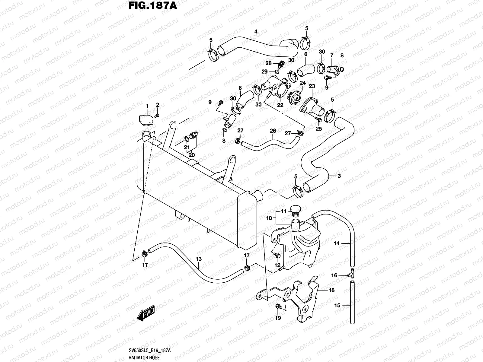 187A - RADIATOR HOSE