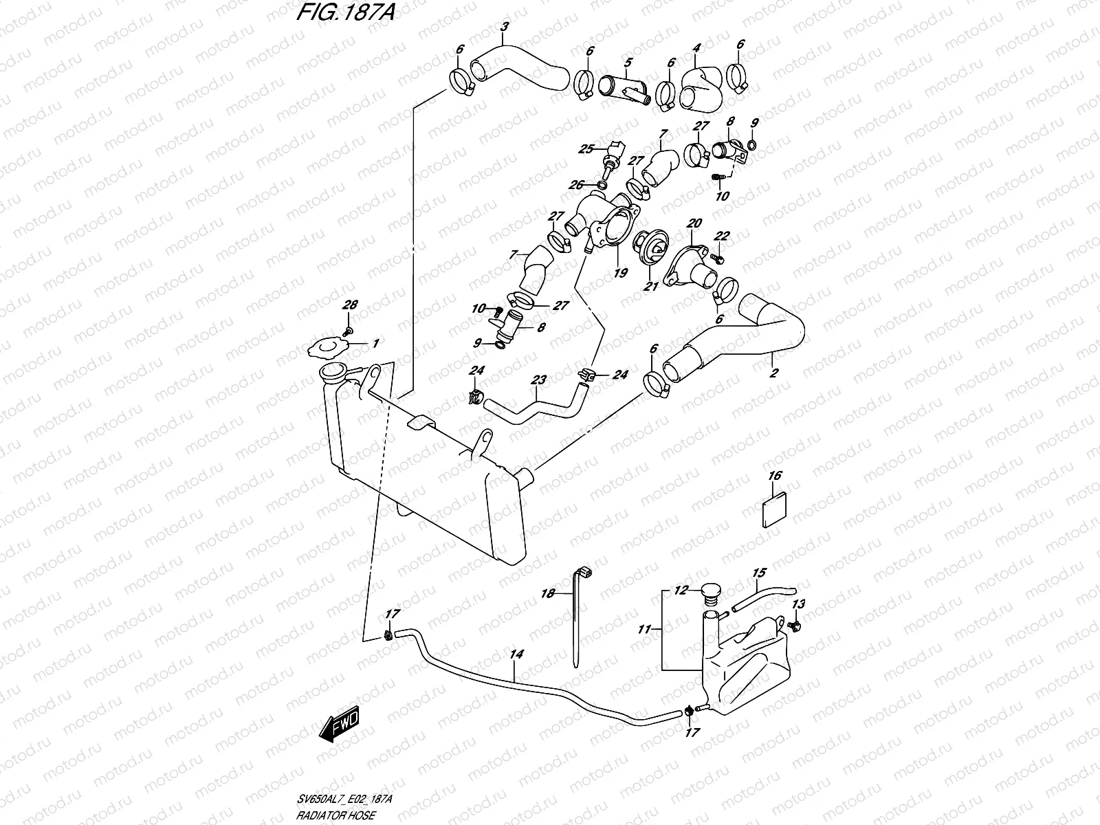 187A - RADIATOR HOSE