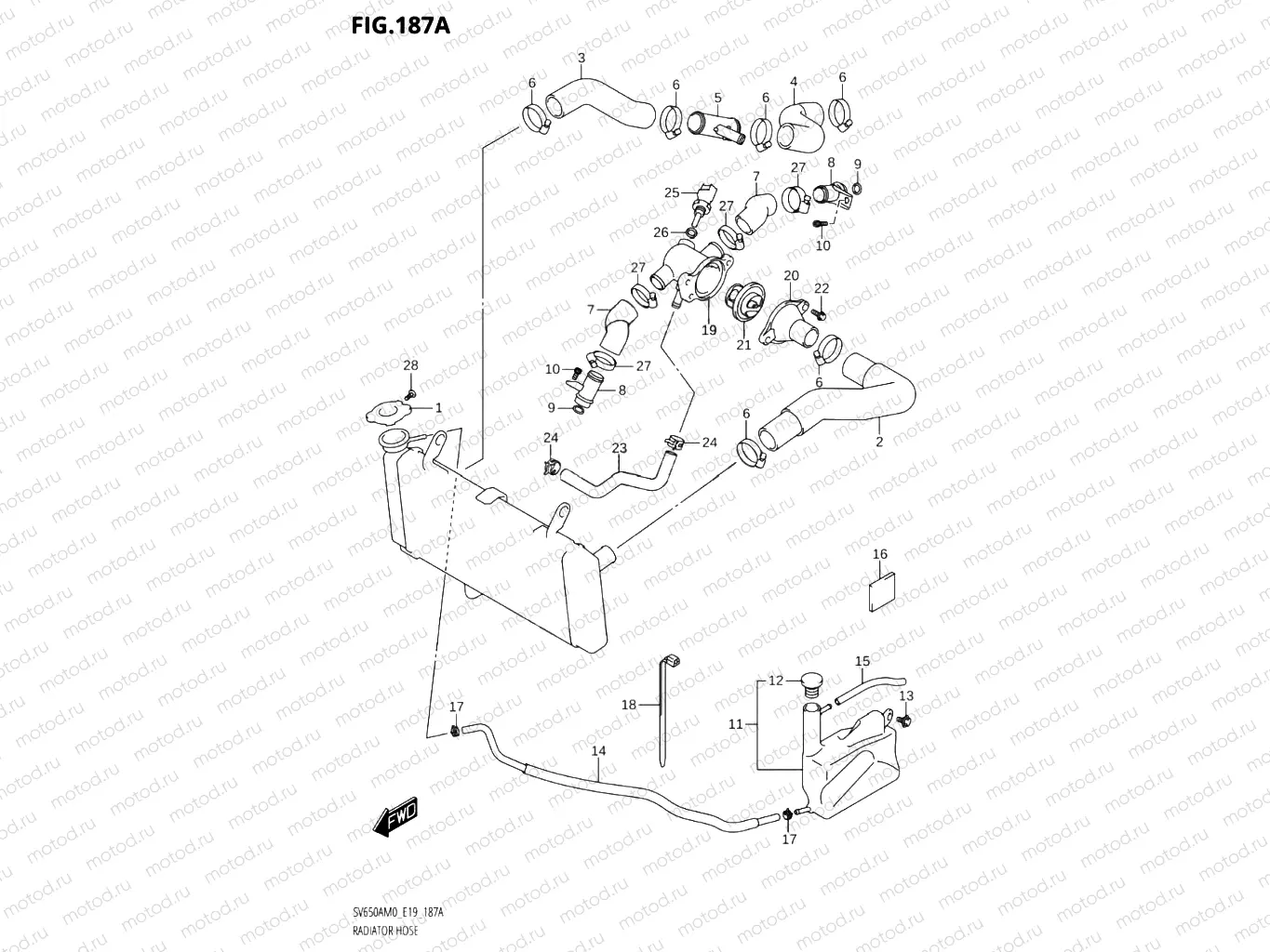 187A - RADIATOR HOSE