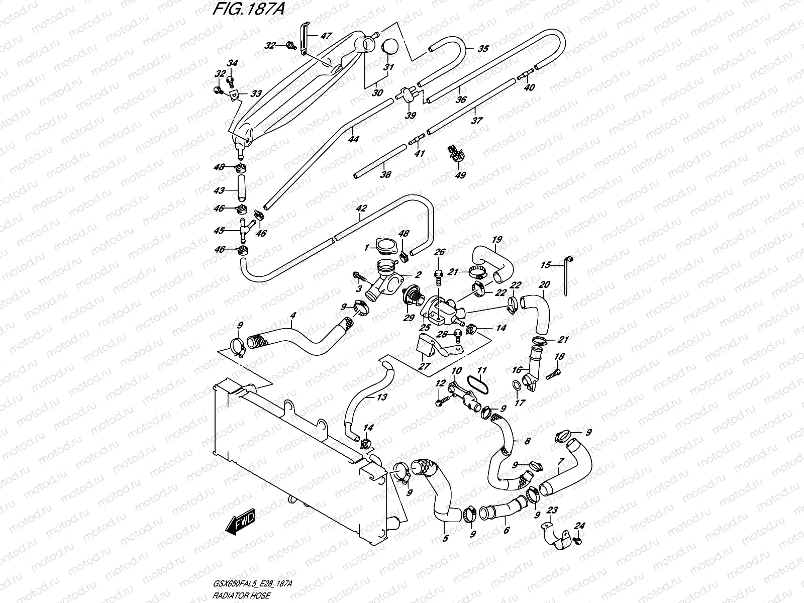 187A - RADIATOR HOSE