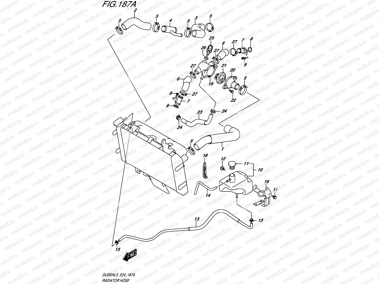 187A - RADIATOR HOSE