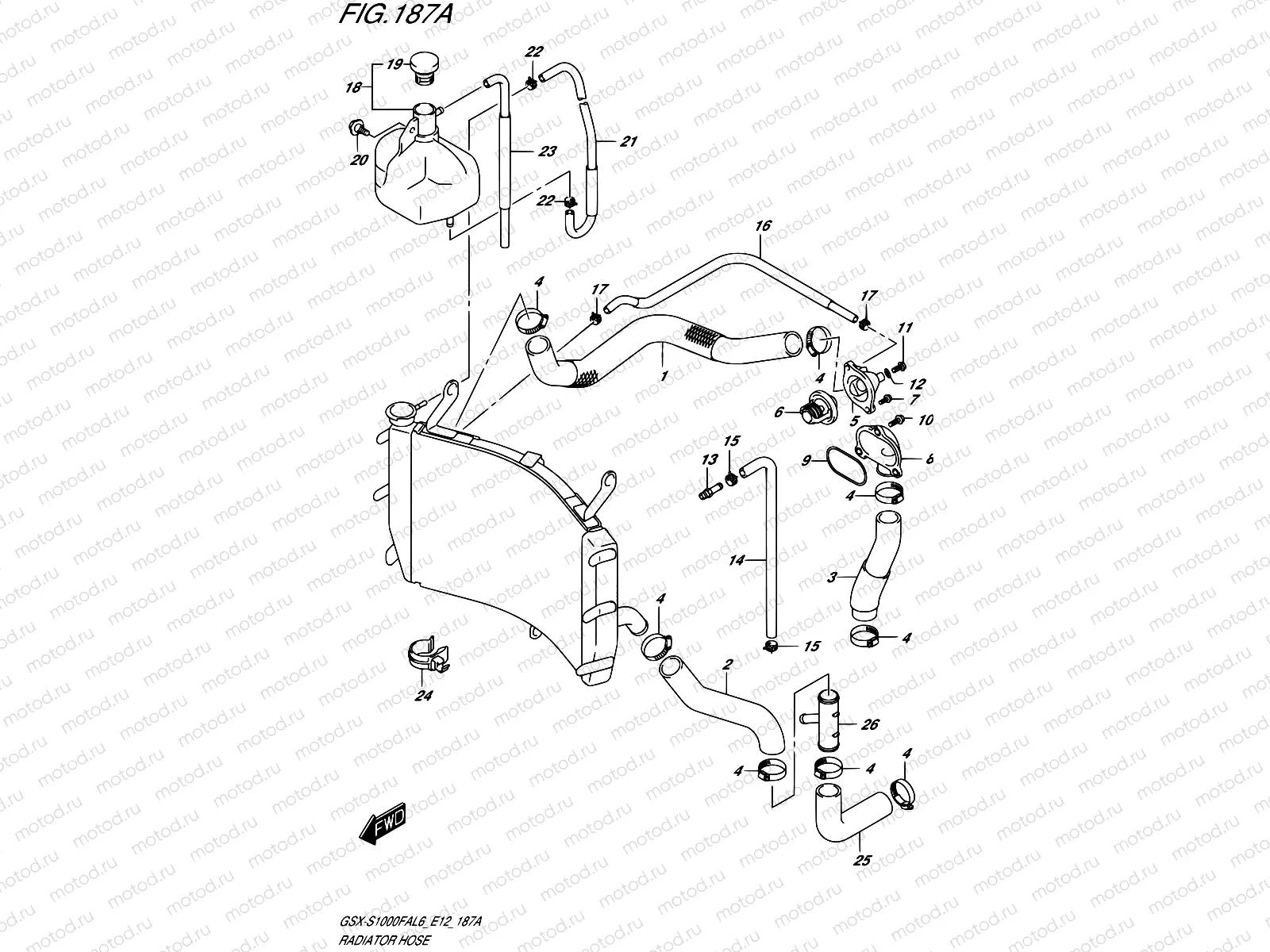 187A - RADIATOR HOSE