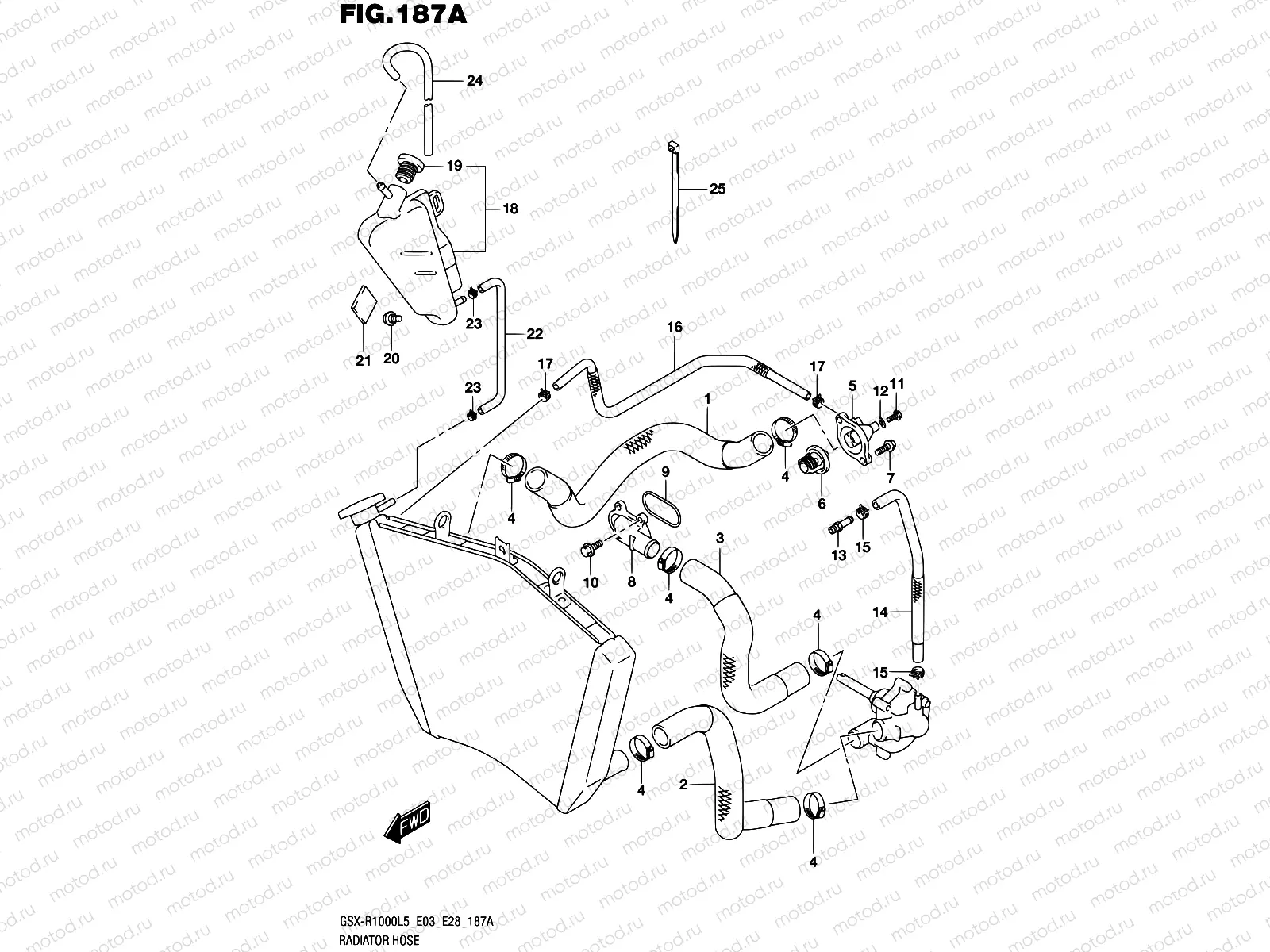 187A - RADIATOR HOSE