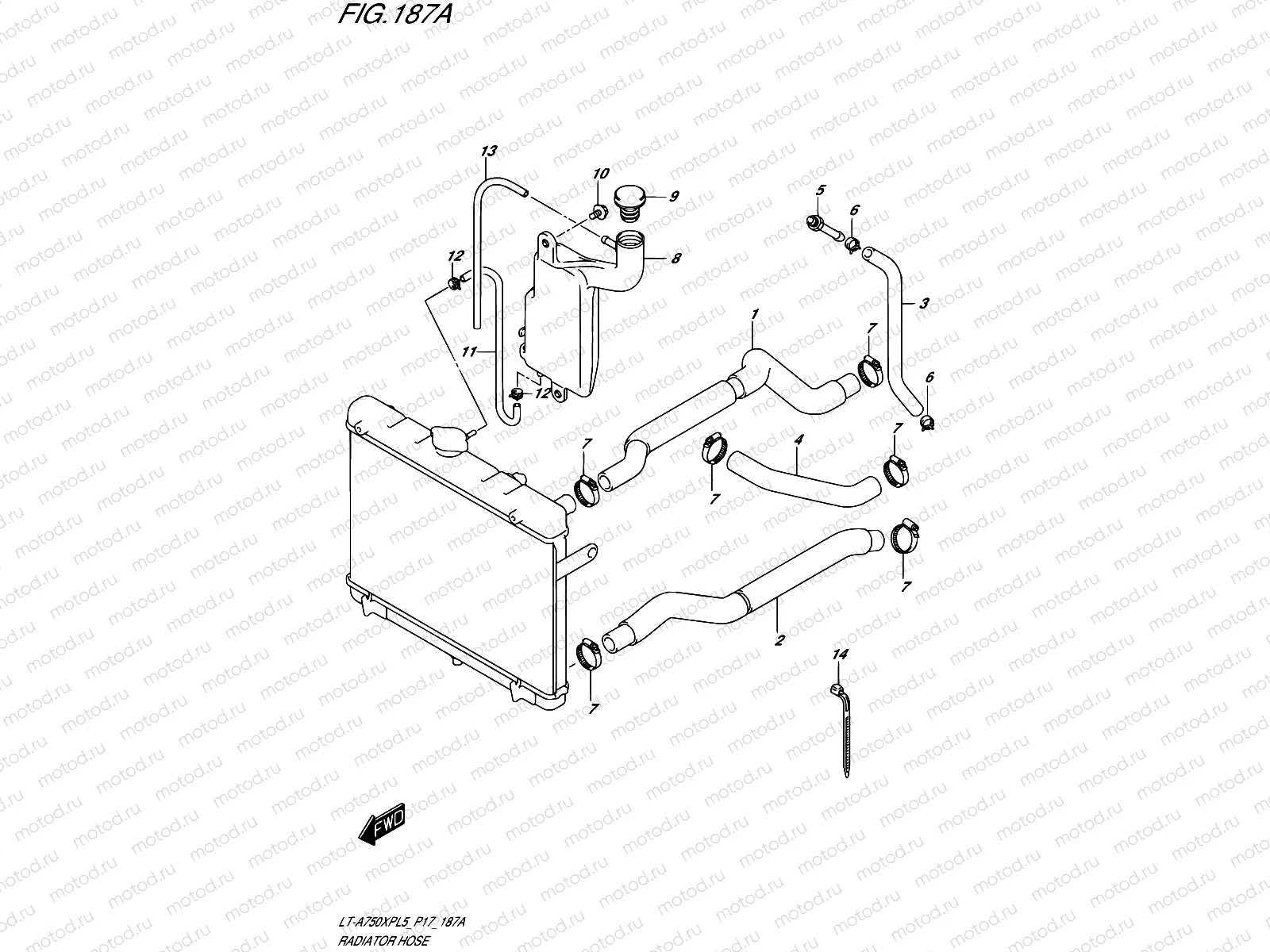187A - RADIATOR HOSE