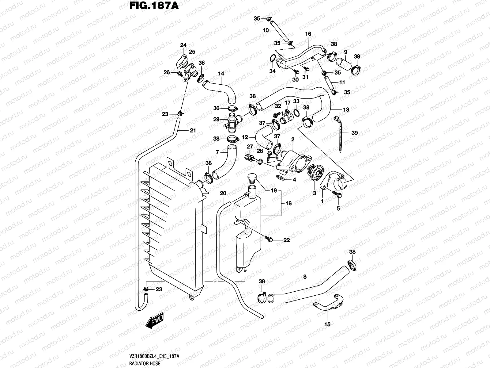 187A - RADIATOR HOSE