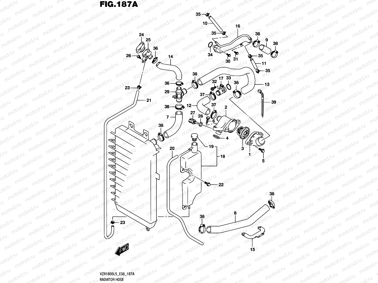 187A - RADIATOR HOSE