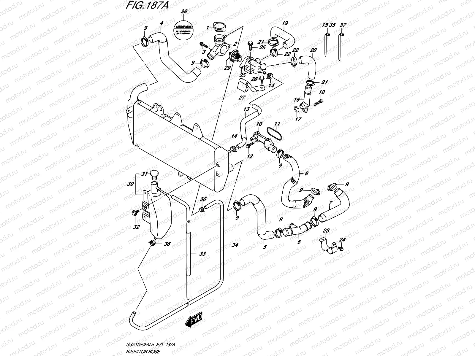 187A - RADIATOR HOSE