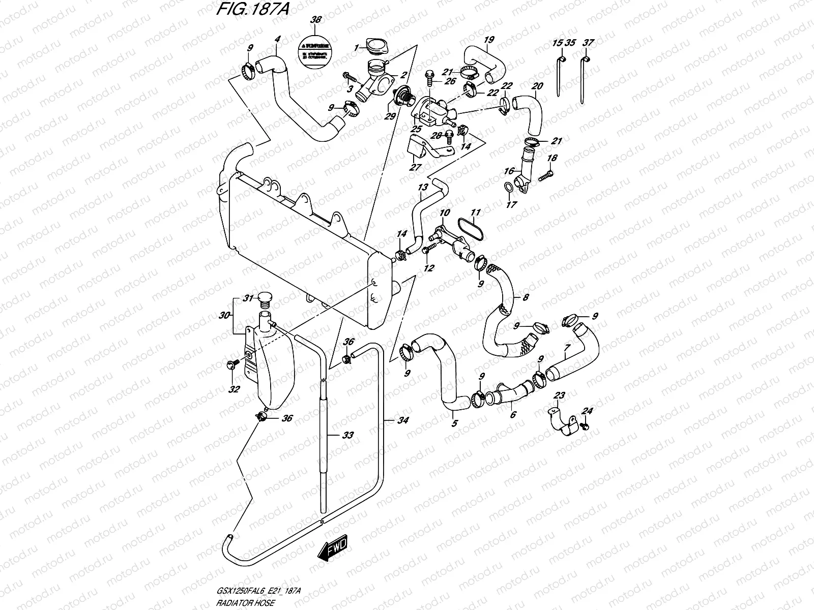 187A - RADIATOR HOSE