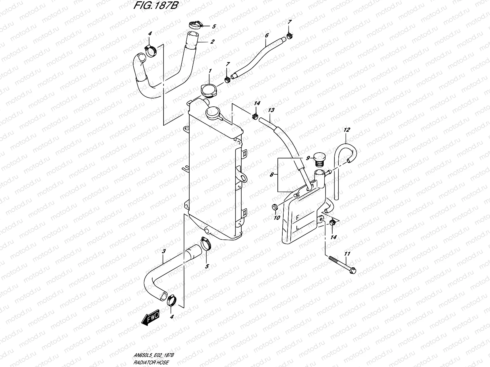 187B - RADIATOR HOSE (AN650ZL5 E02)