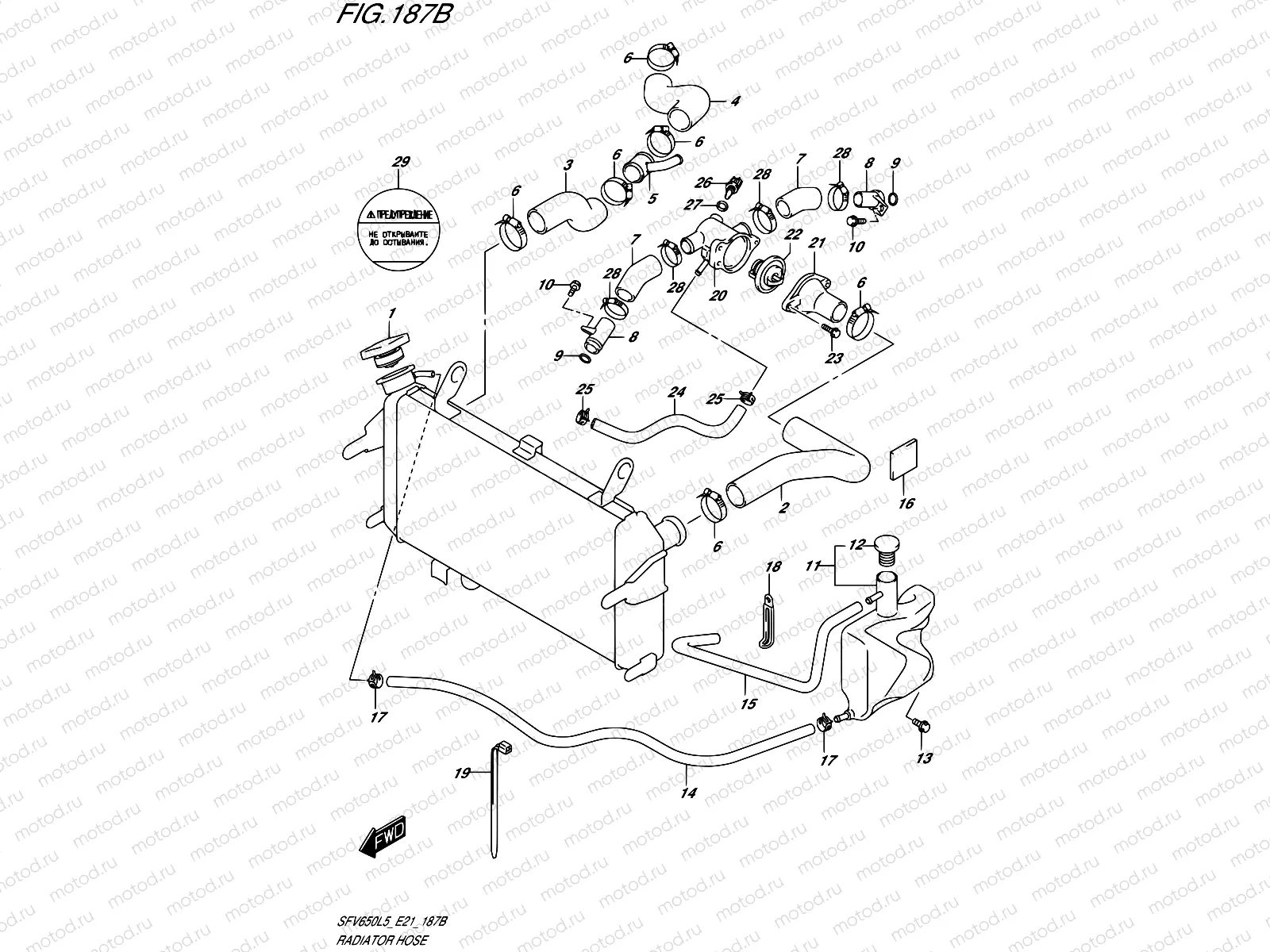 187B - RADIATOR HOSE (SFV650AL5 E21)