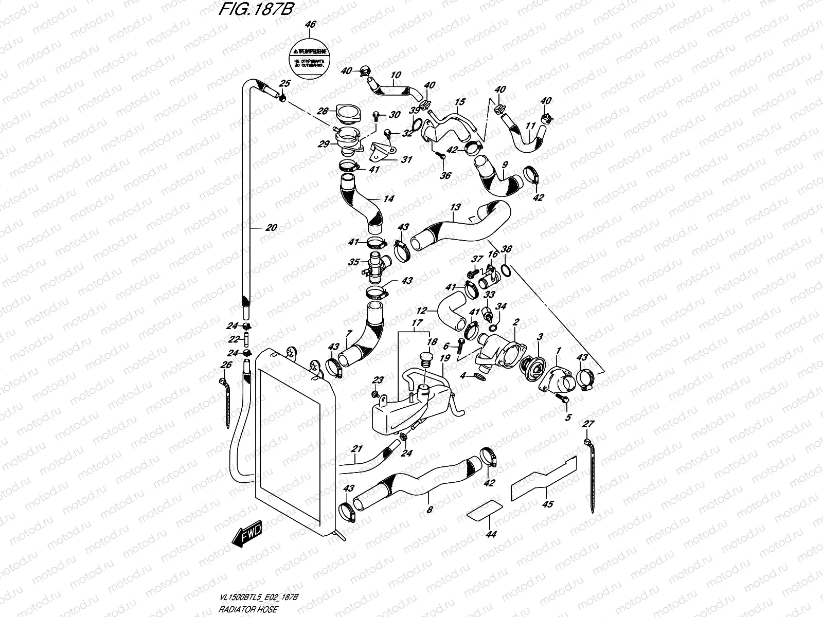 187B - RADIATOR HOSE (VL1500BTL5 E19)