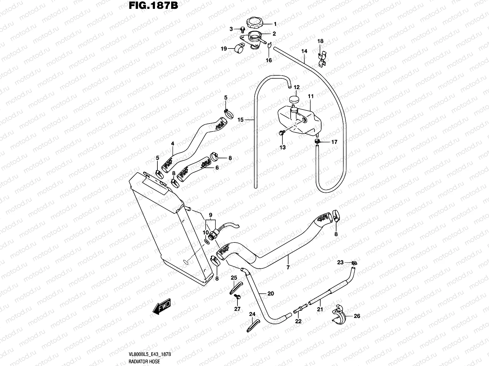 187B - RADIATOR HOSE (VL800BL5 E43)