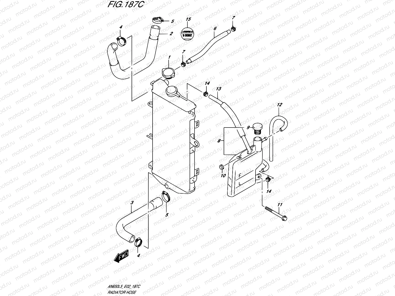 187C - RADIATOR HOSE (AN650ZL5 E19)