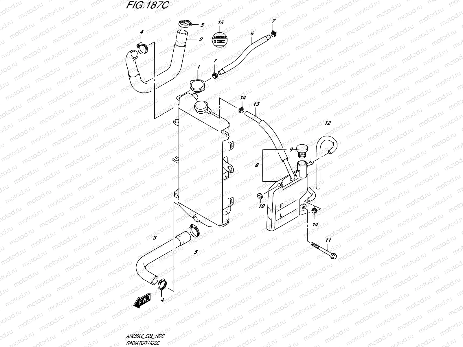 187C - RADIATOR HOSE (AN650ZL6 E19)