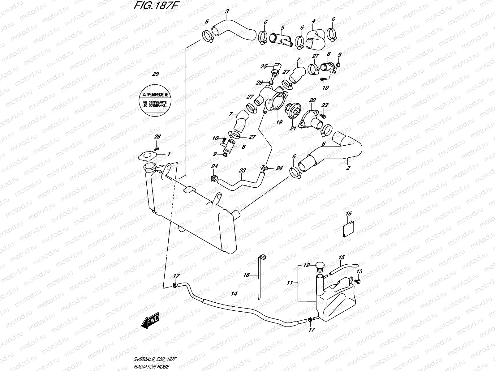 187F - RADIATOR HOSE (SV650AUL9 E19)