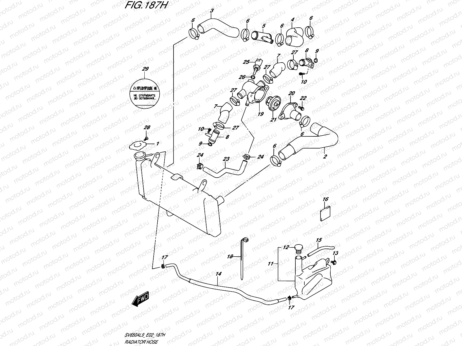 187H - RADIATOR HOSE (SV650XAUL9 E19)