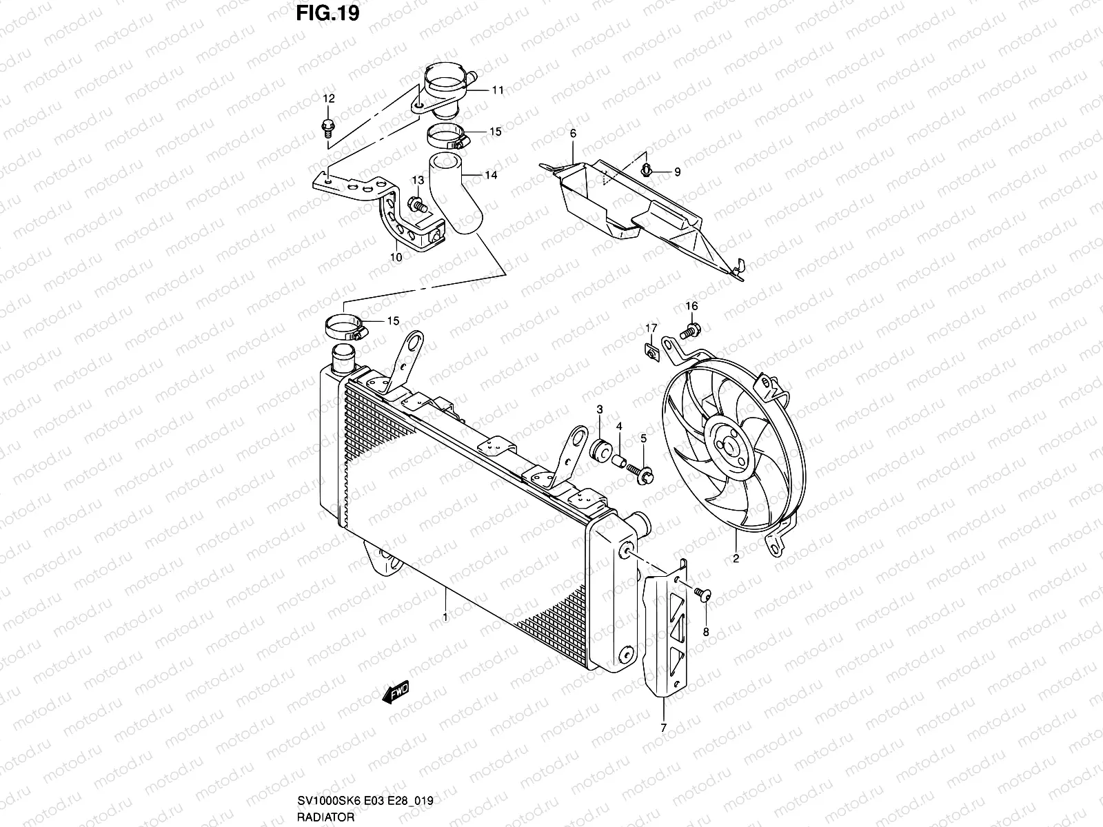 19 - RADIATOR