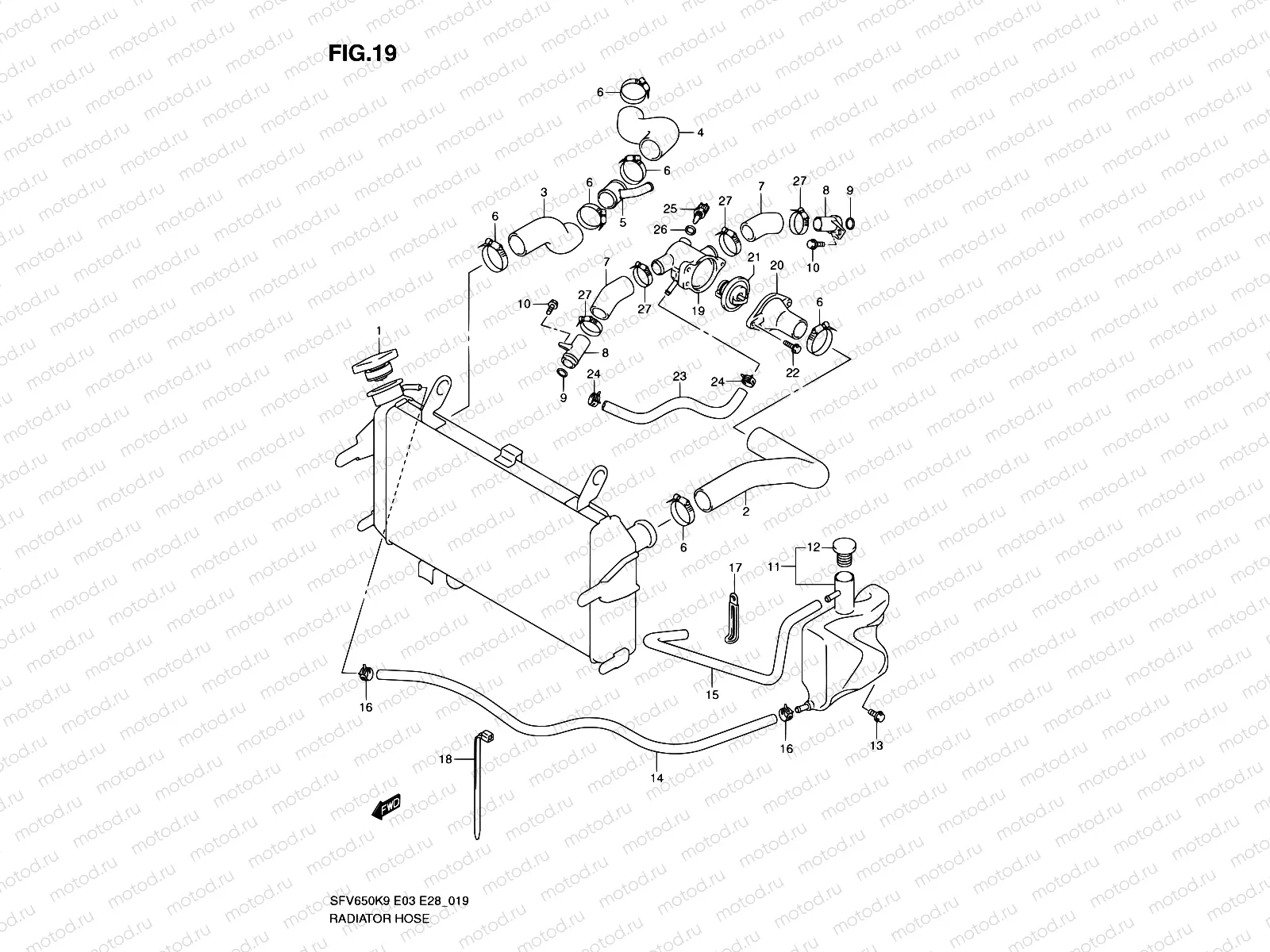 19 - RADIATOR HOSE