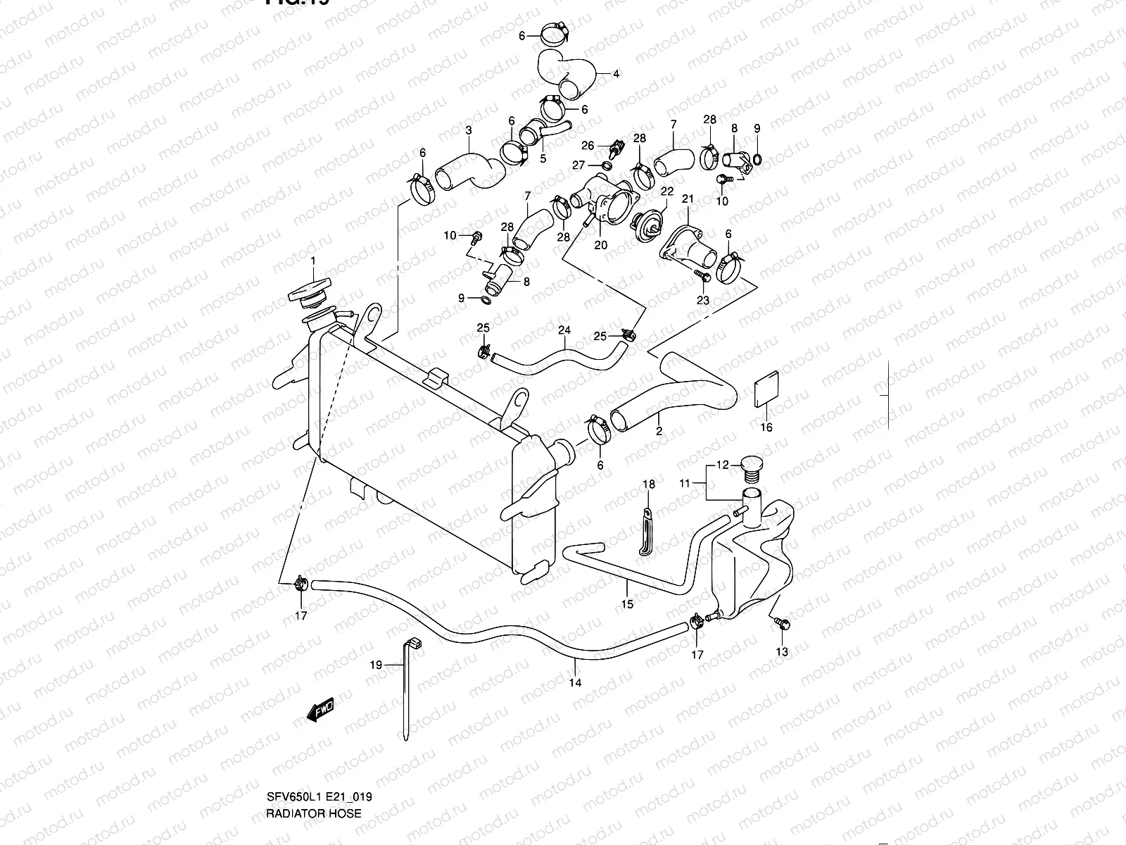 19 - RADIATOR HOSE