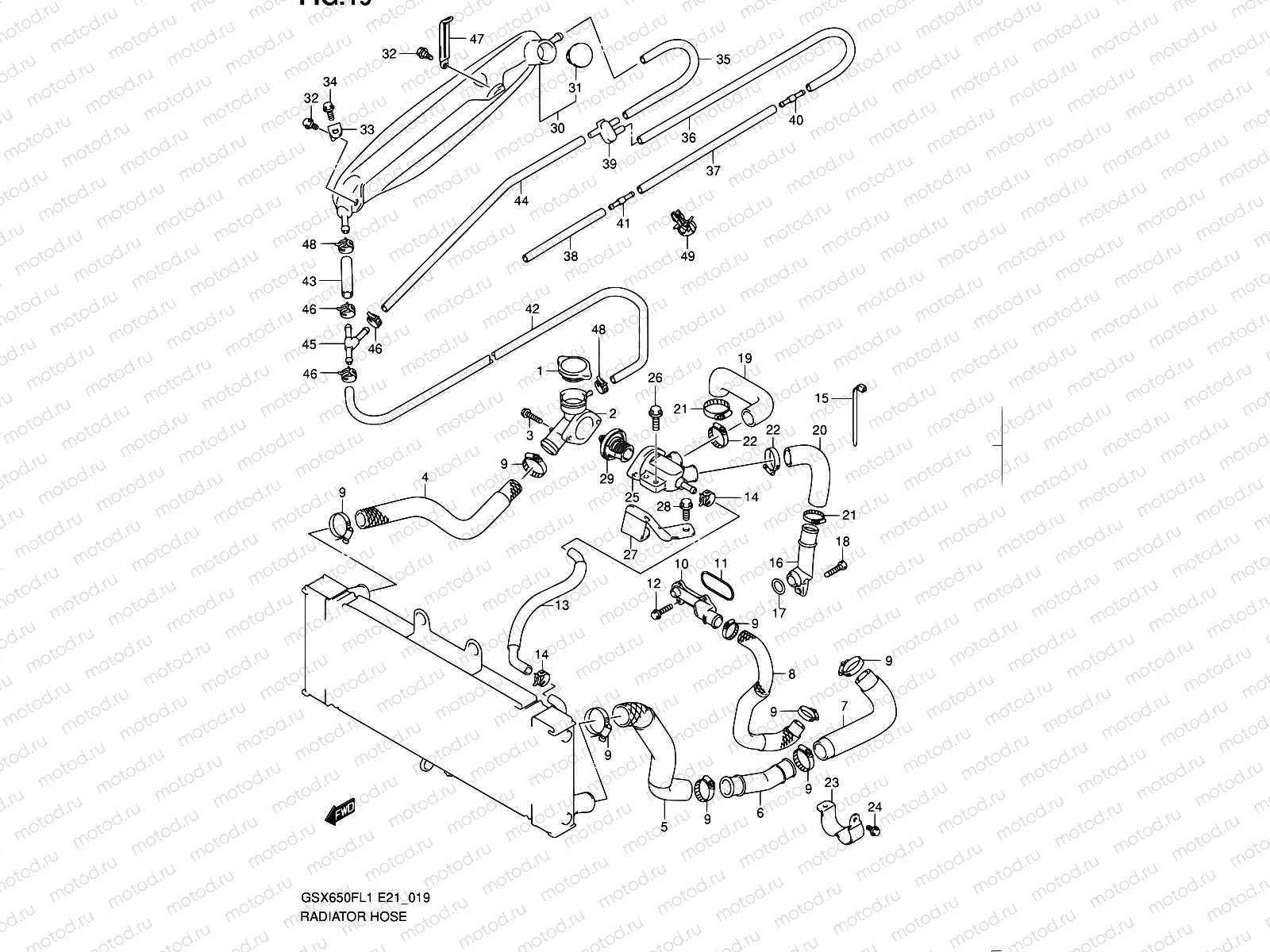 19 - RADIATOR HOSE