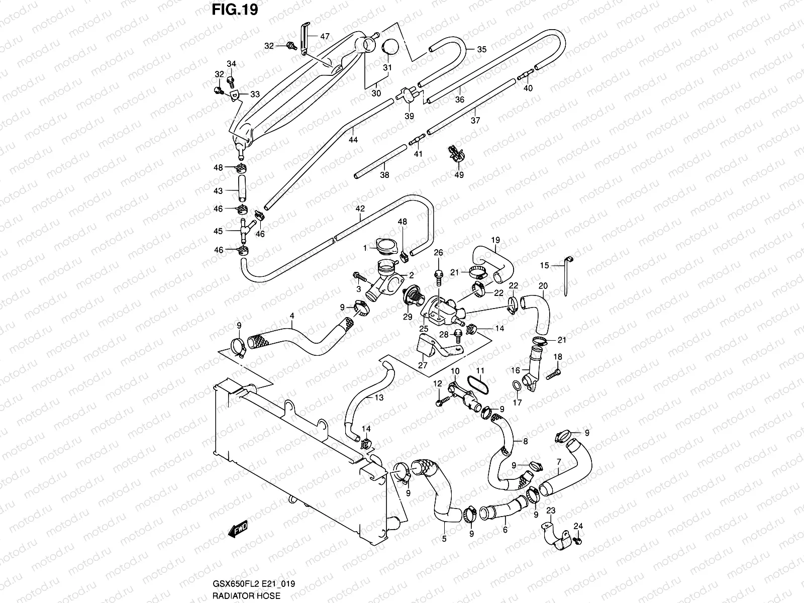19 - RADIATOR HOSE