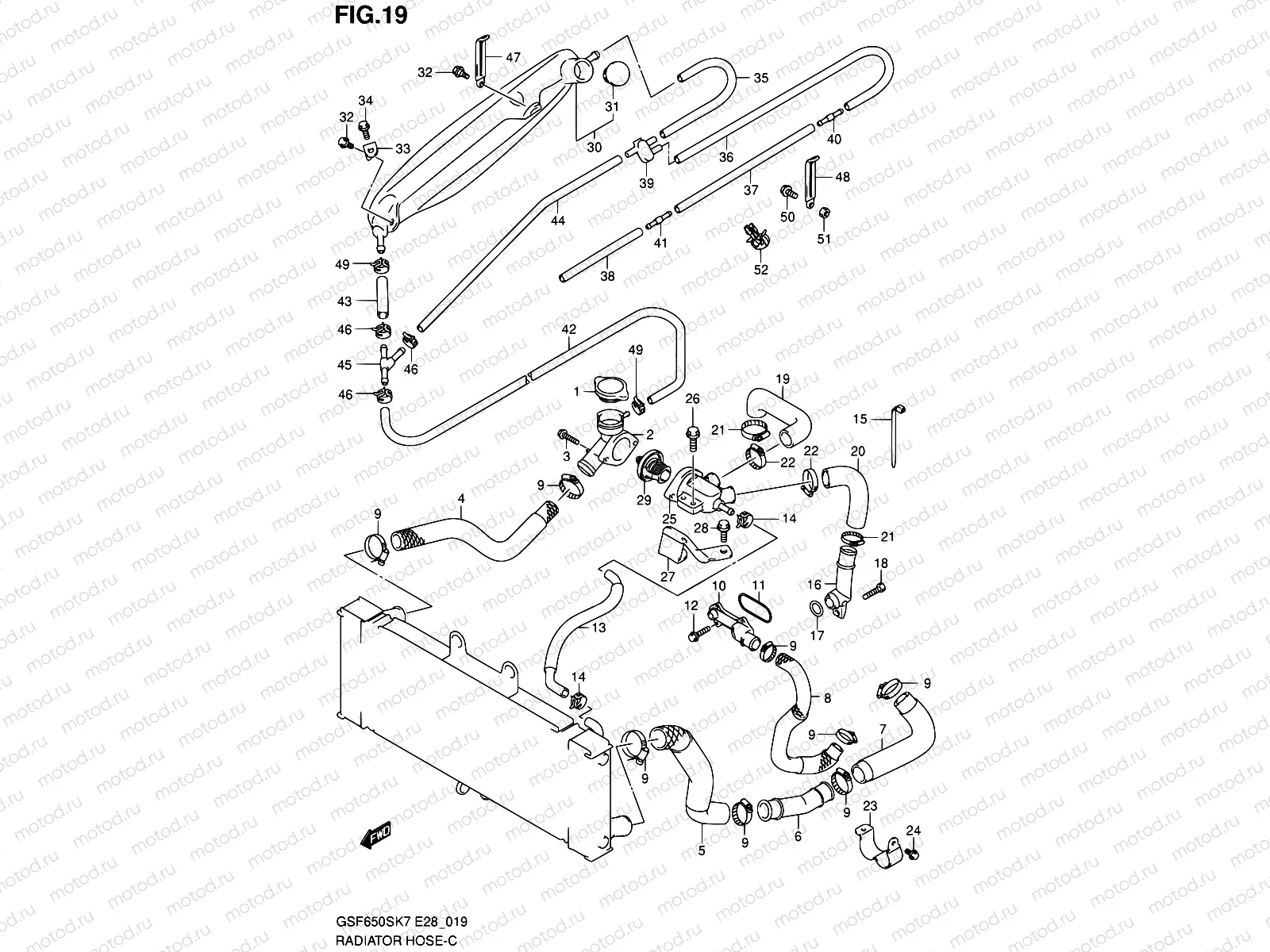 19 - RADIATOR HOSE