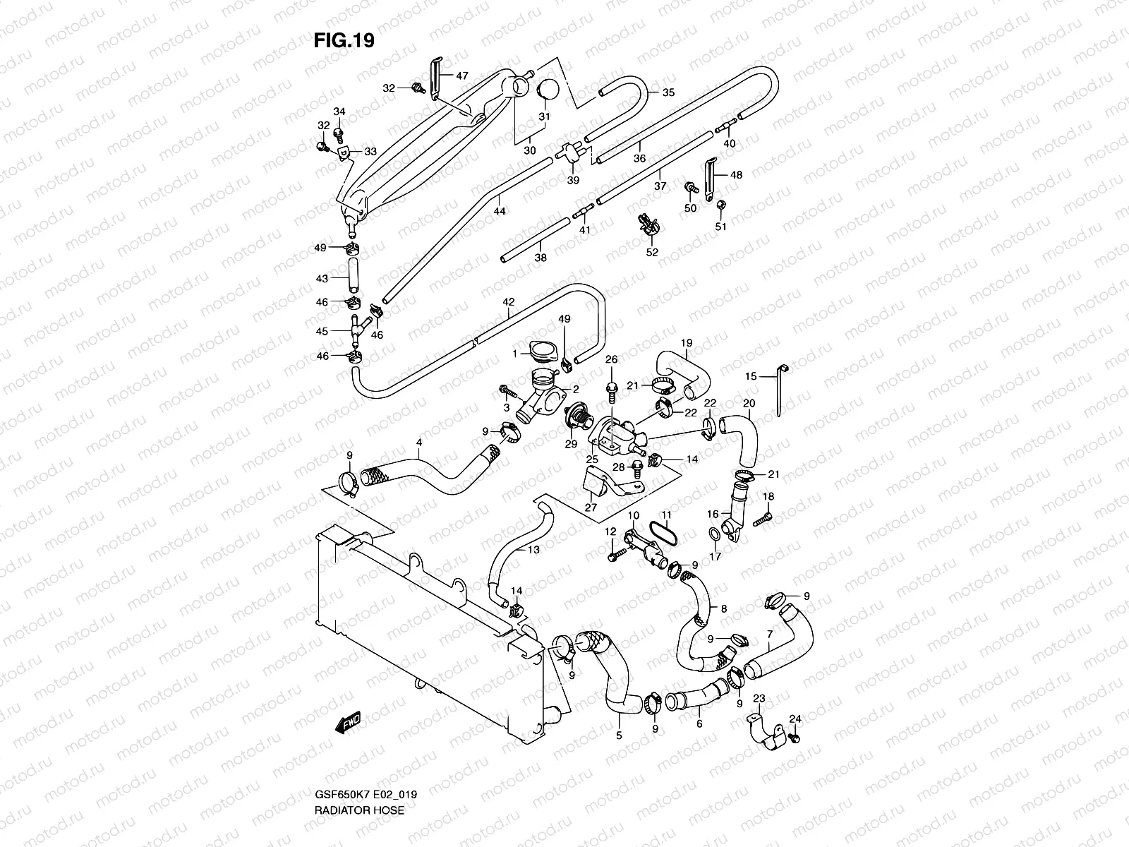 19 - RADIATOR HOSE