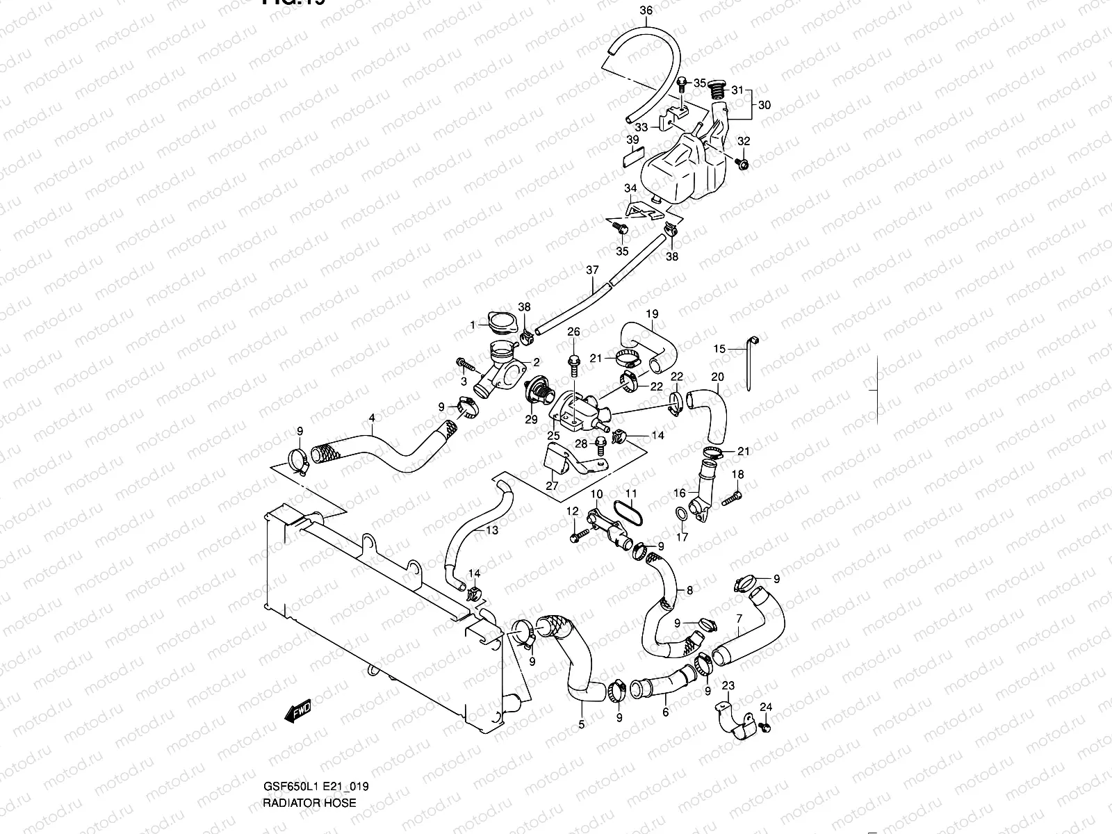 19 - RADIATOR HOSE