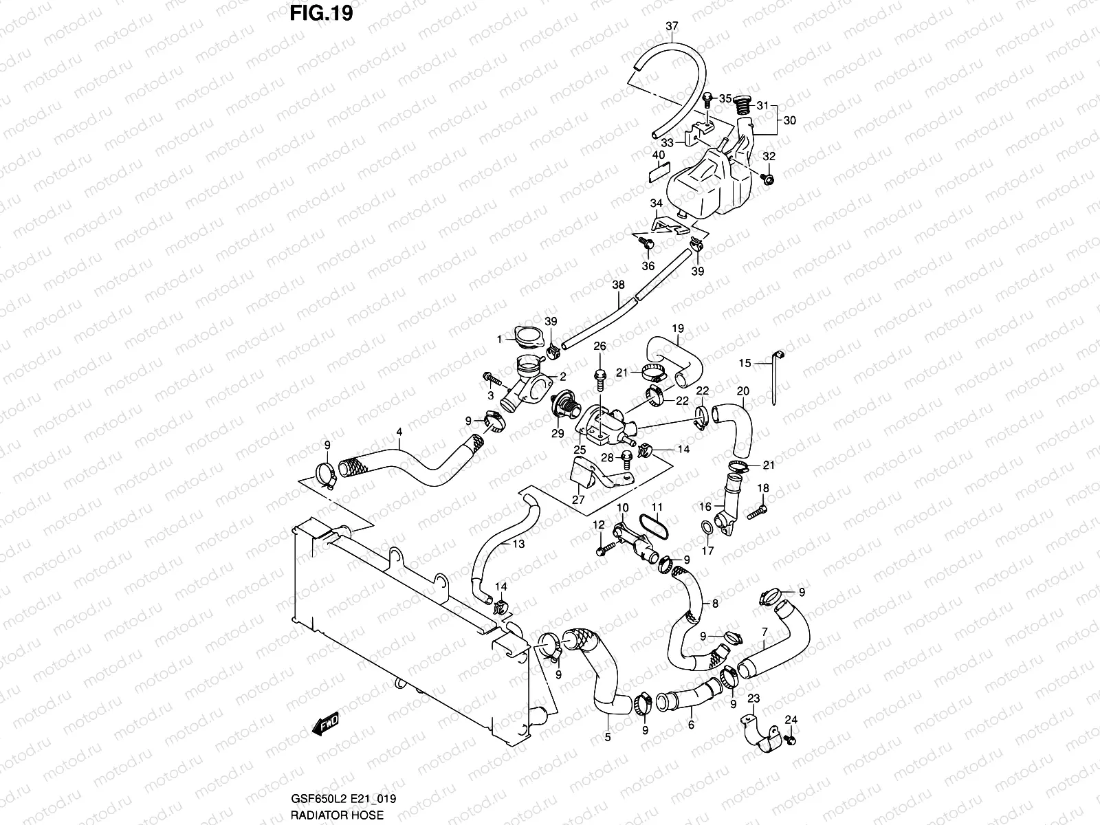 19 - RADIATOR HOSE