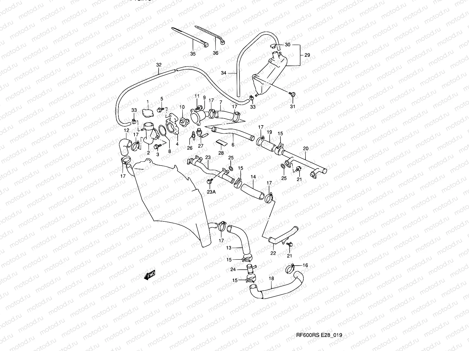 19 - RADIATOR HOSE