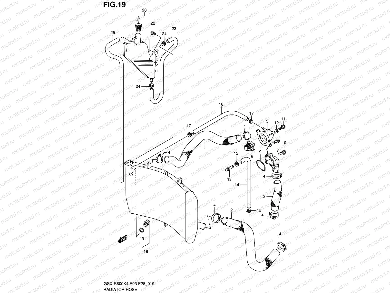 19 - RADIATOR HOSE