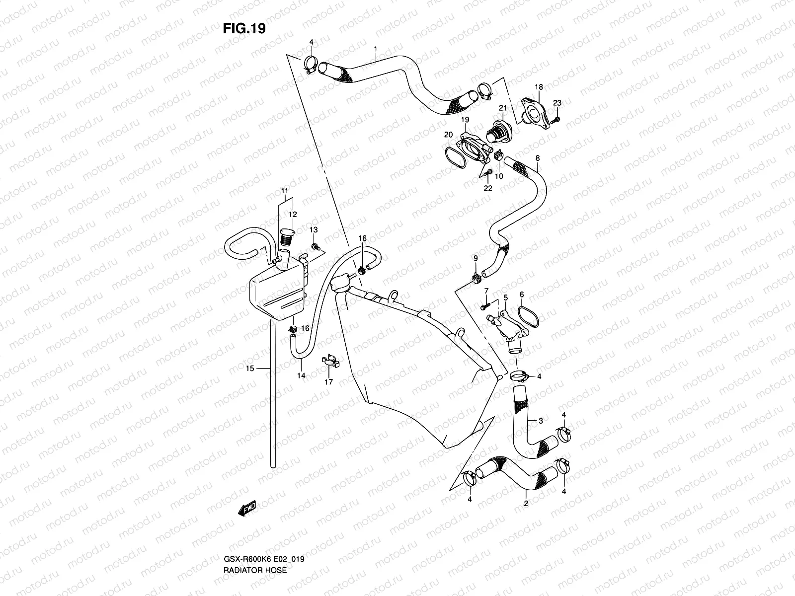19 - RADIATOR HOSE