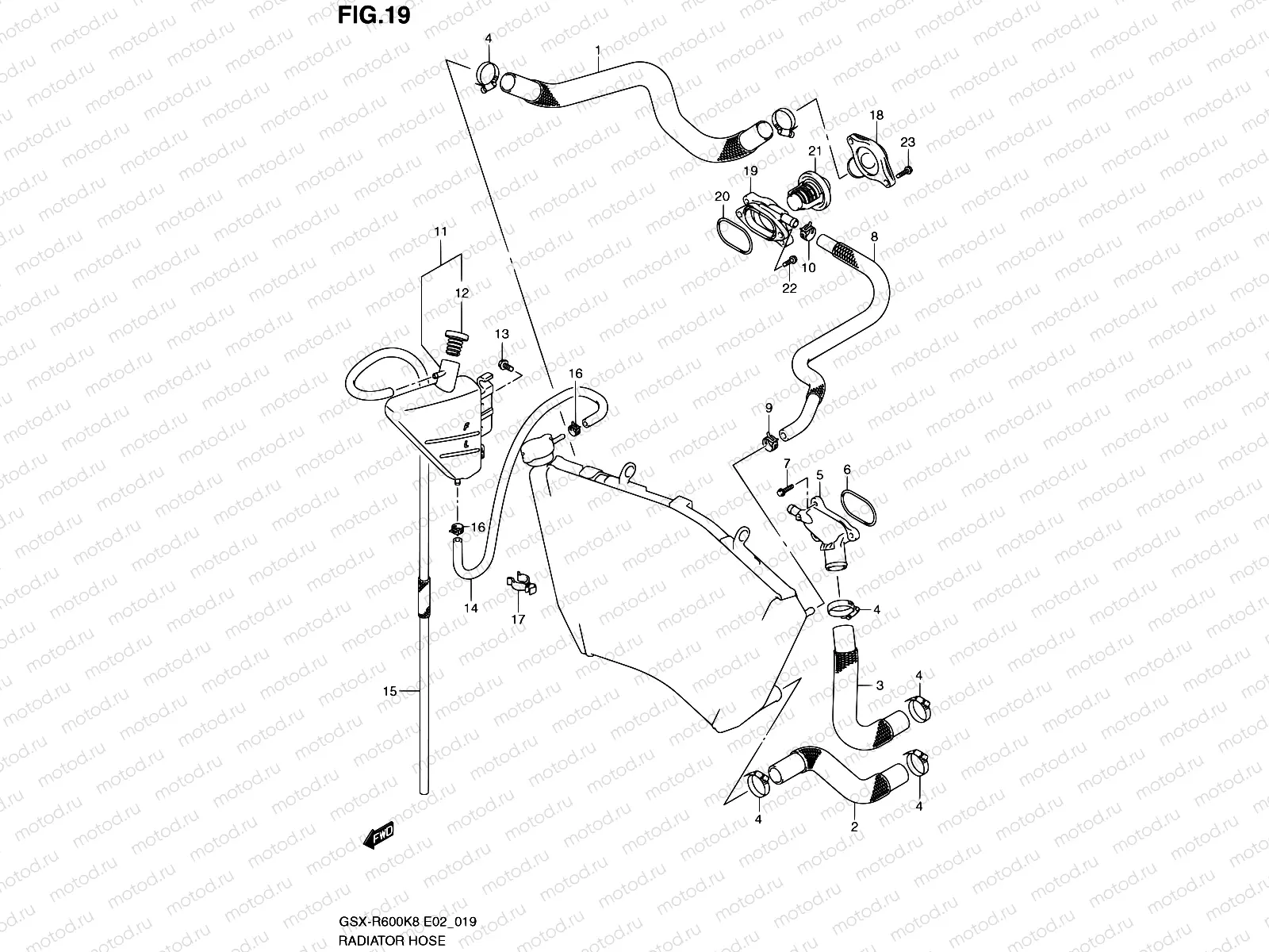 19 - RADIATOR HOSE