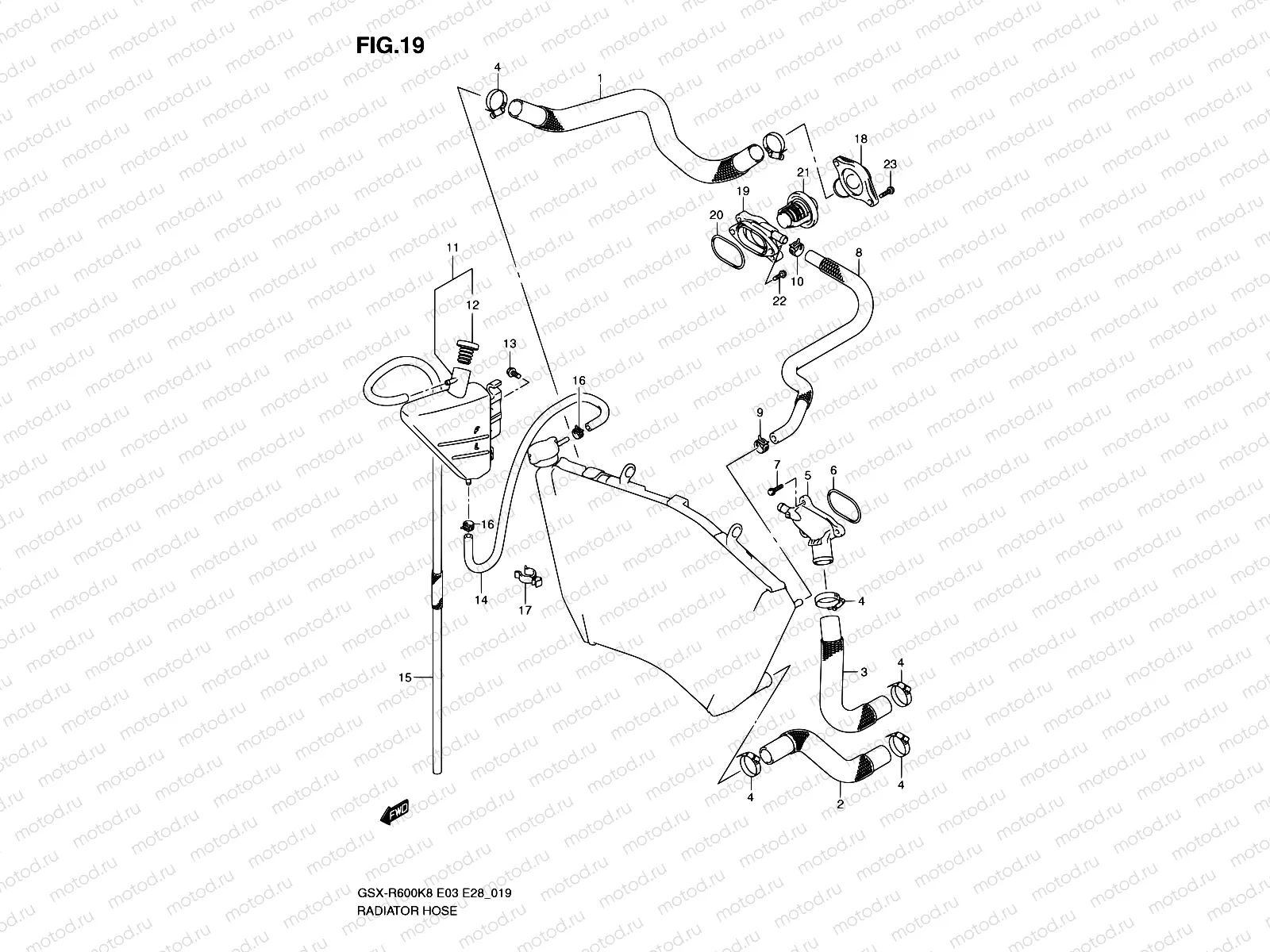 19 - RADIATOR HOSE
