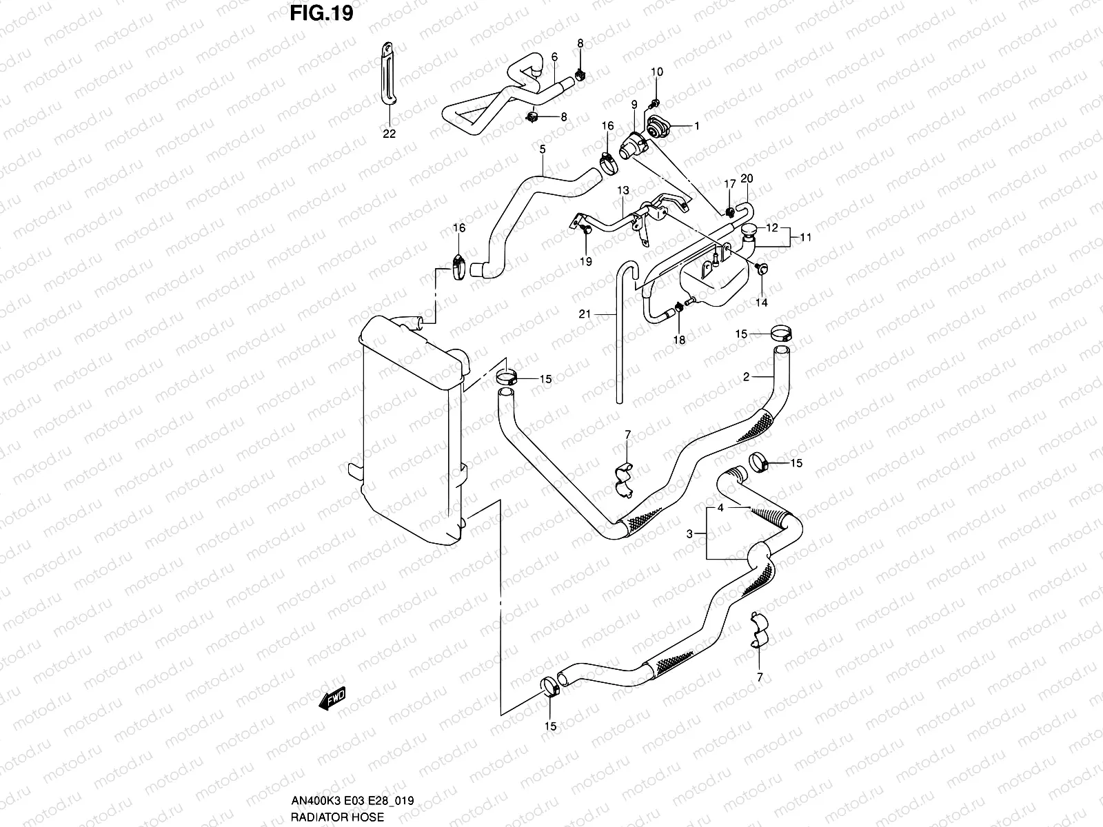 19 - RADIATOR HOSE