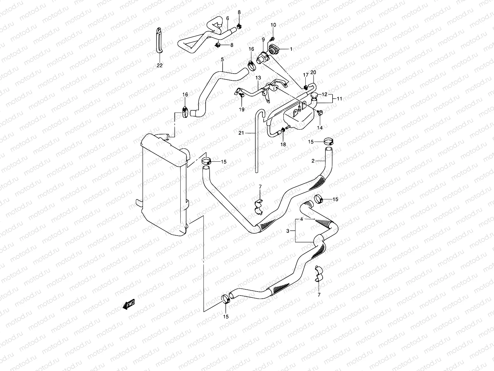 19 - RADIATOR HOSE