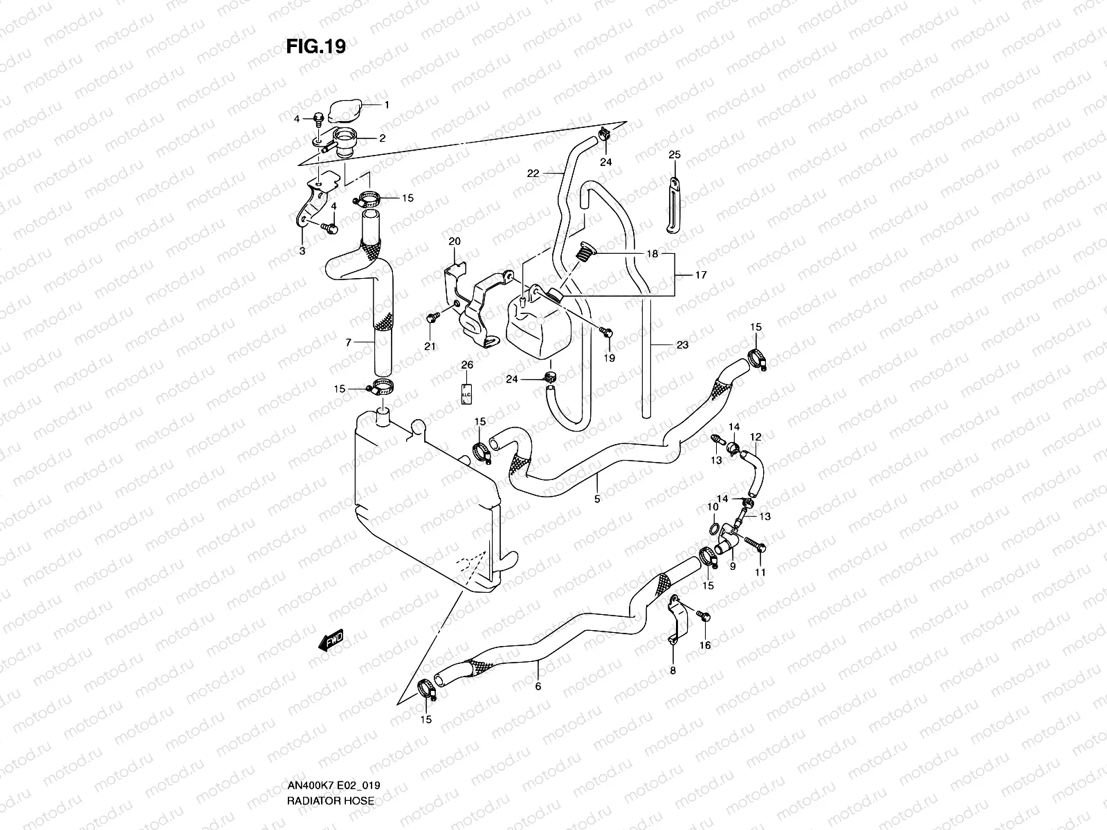 19 - RADIATOR HOSE