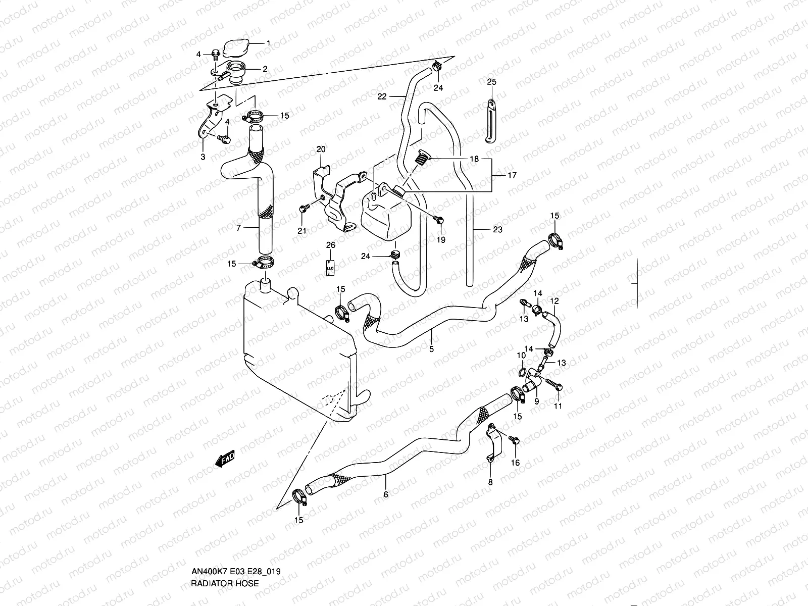 19 - RADIATOR HOSE