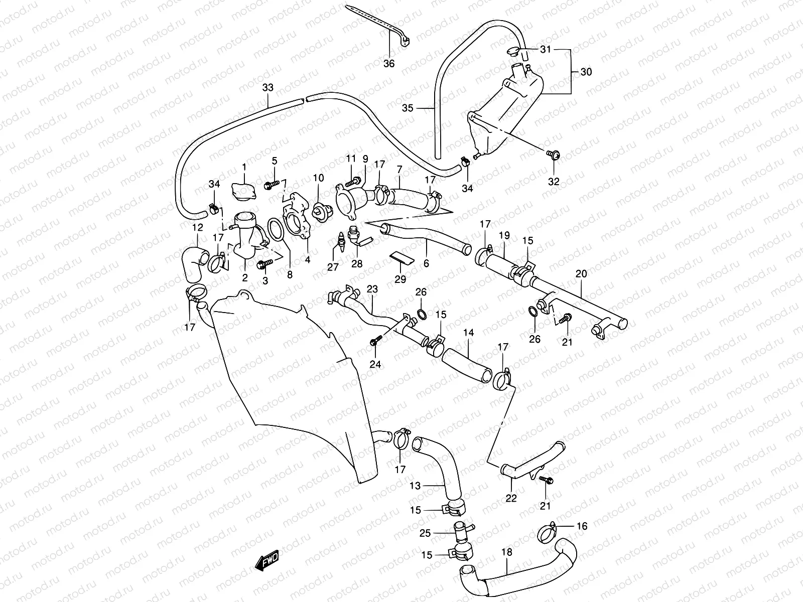 19 - RADIATOR HOSE