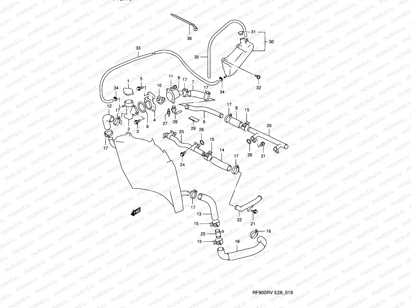 19 - RADIATOR HOSE
