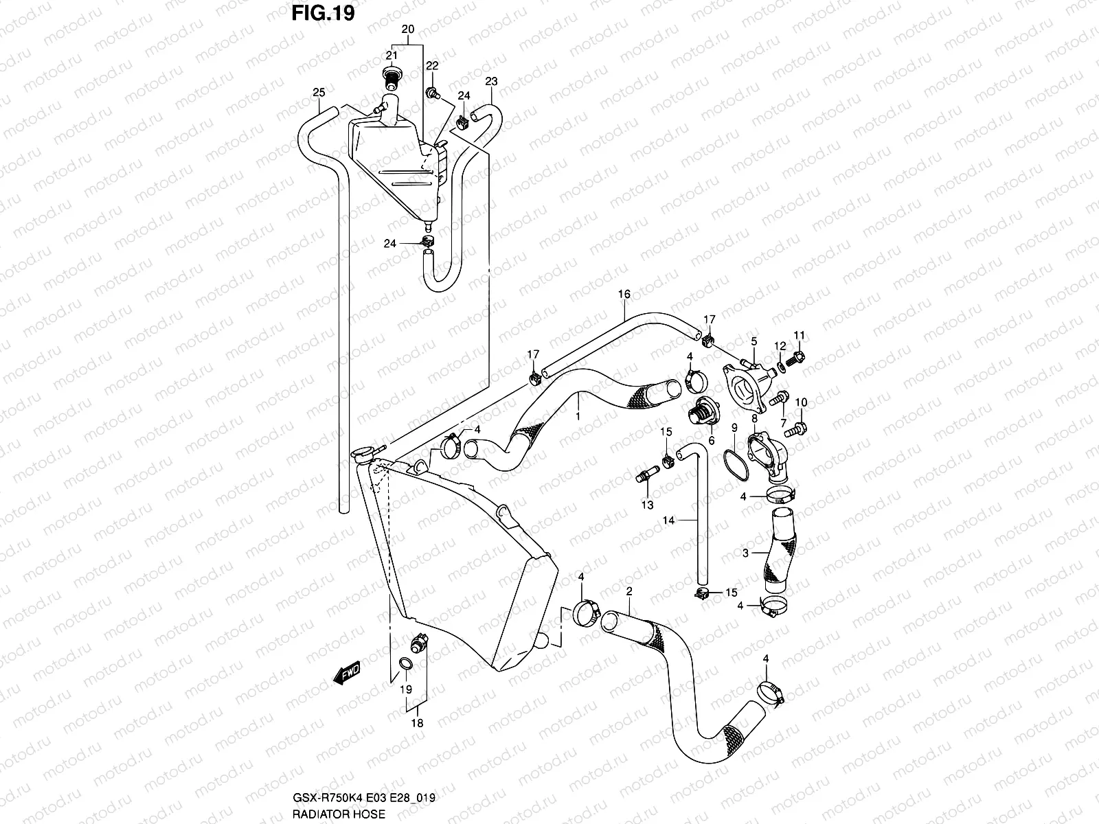 19 - RADIATOR HOSE