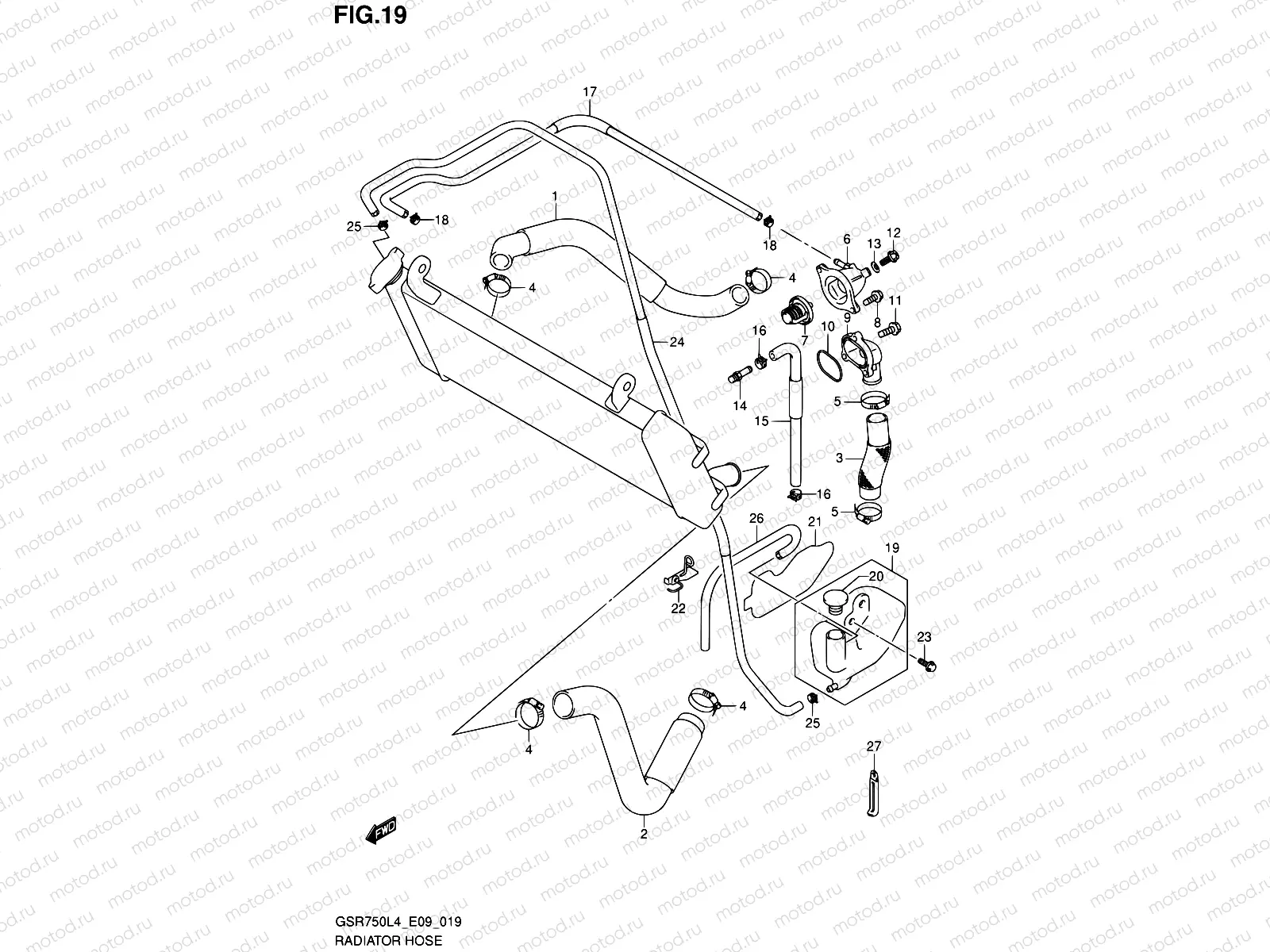 19 - RADIATOR HOSE