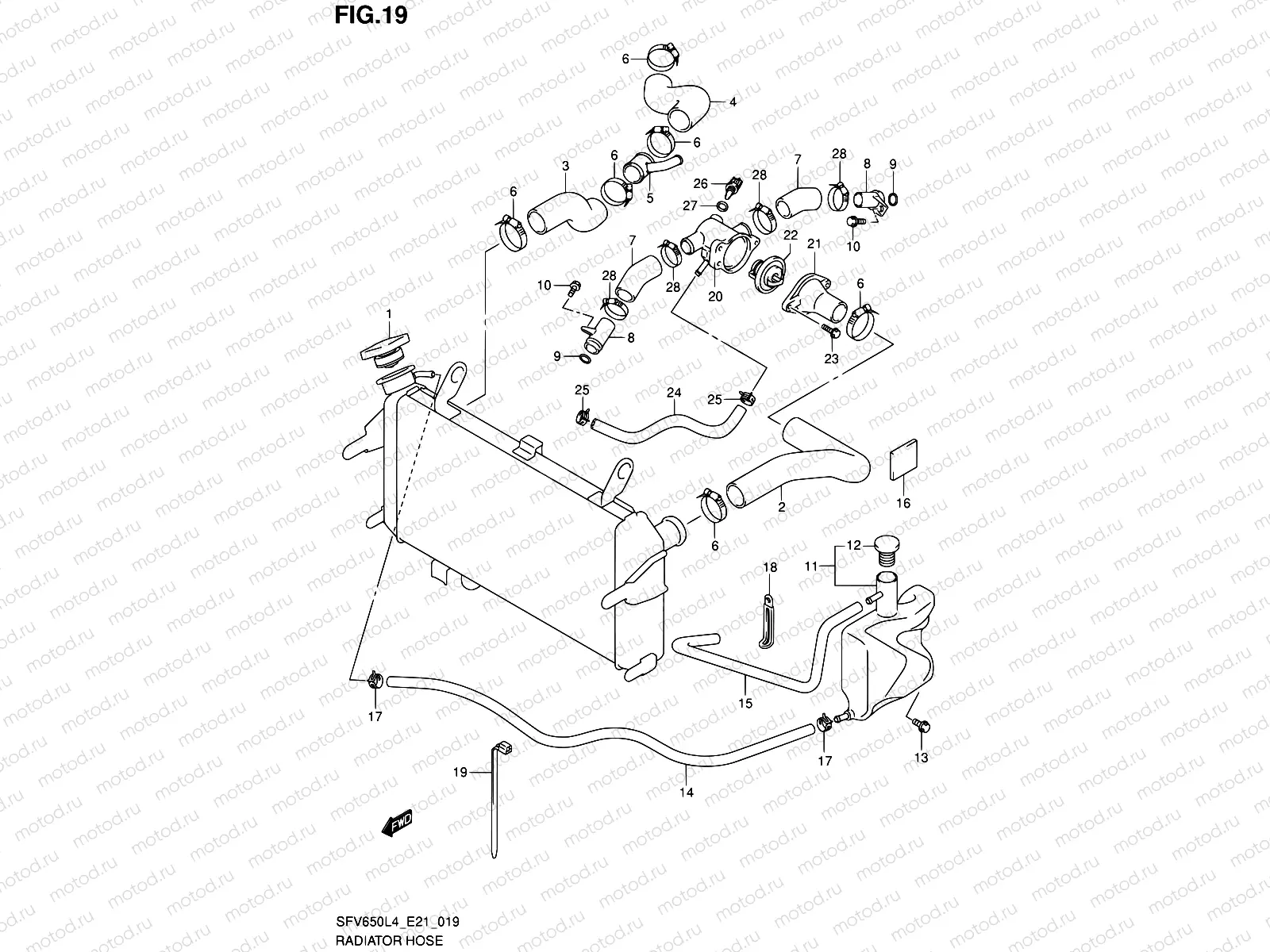 19 - RADIATOR HOSE (SFV650L4 E21)