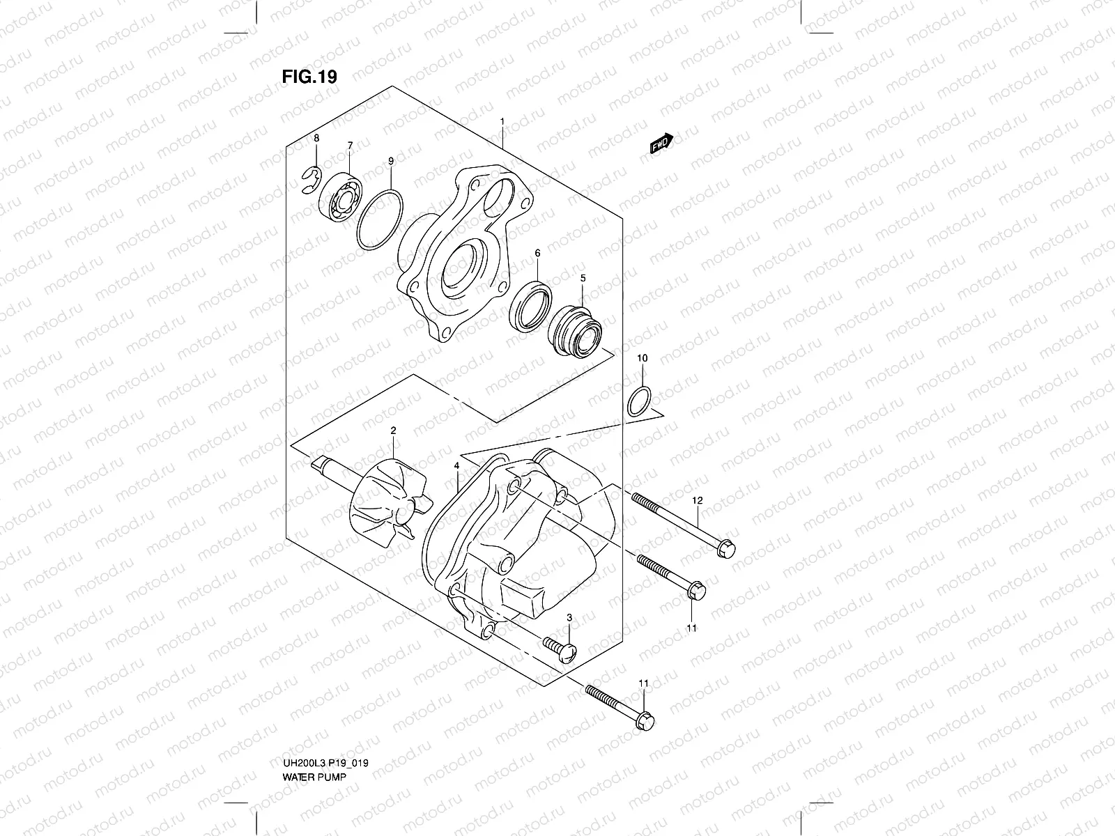 19 - WATER PUMP
