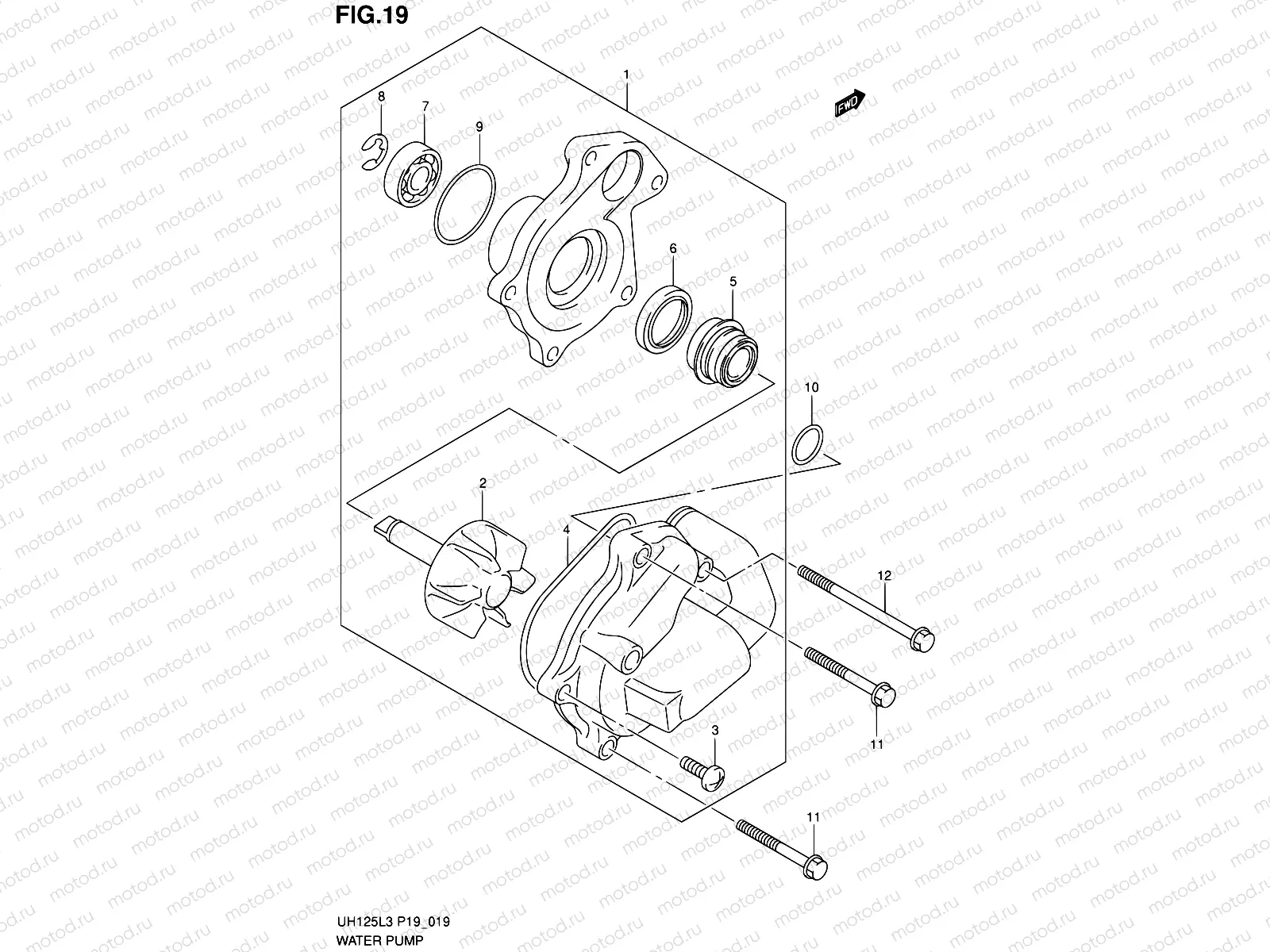 19 - WATER PUMP