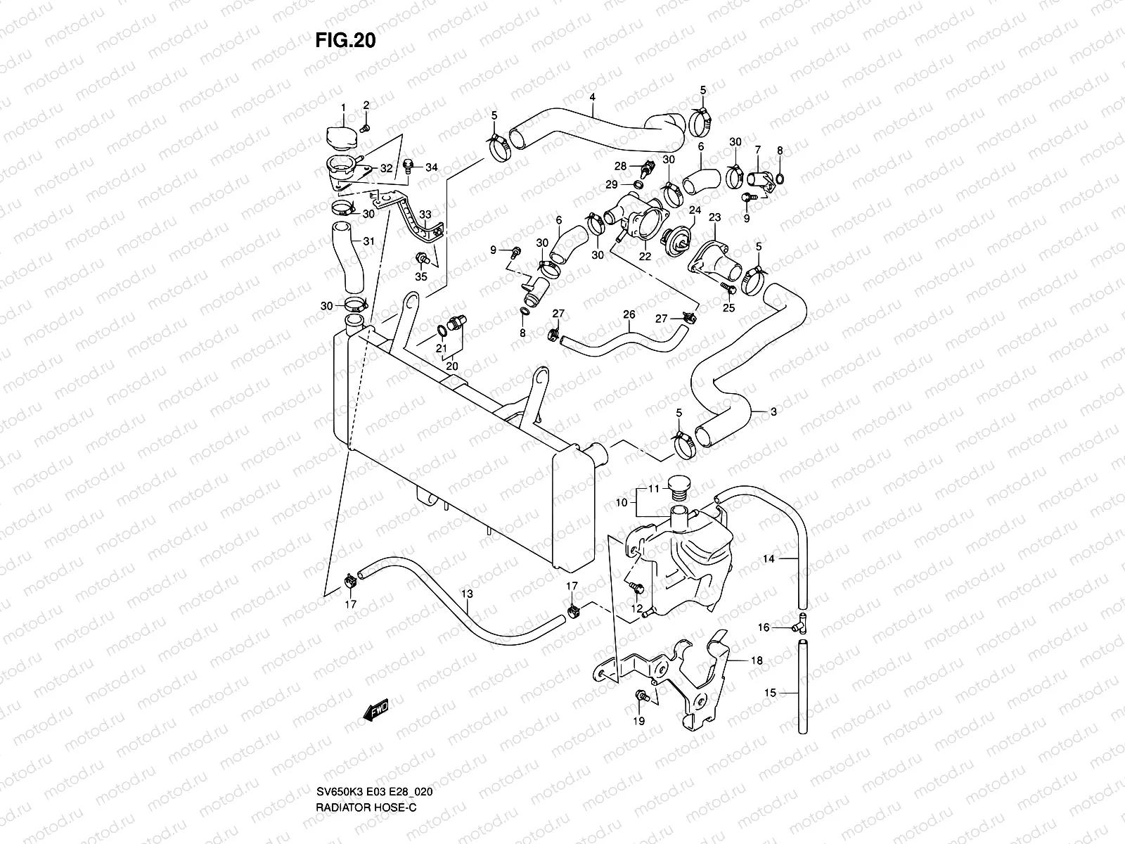 20 - RADIATOR HOSE