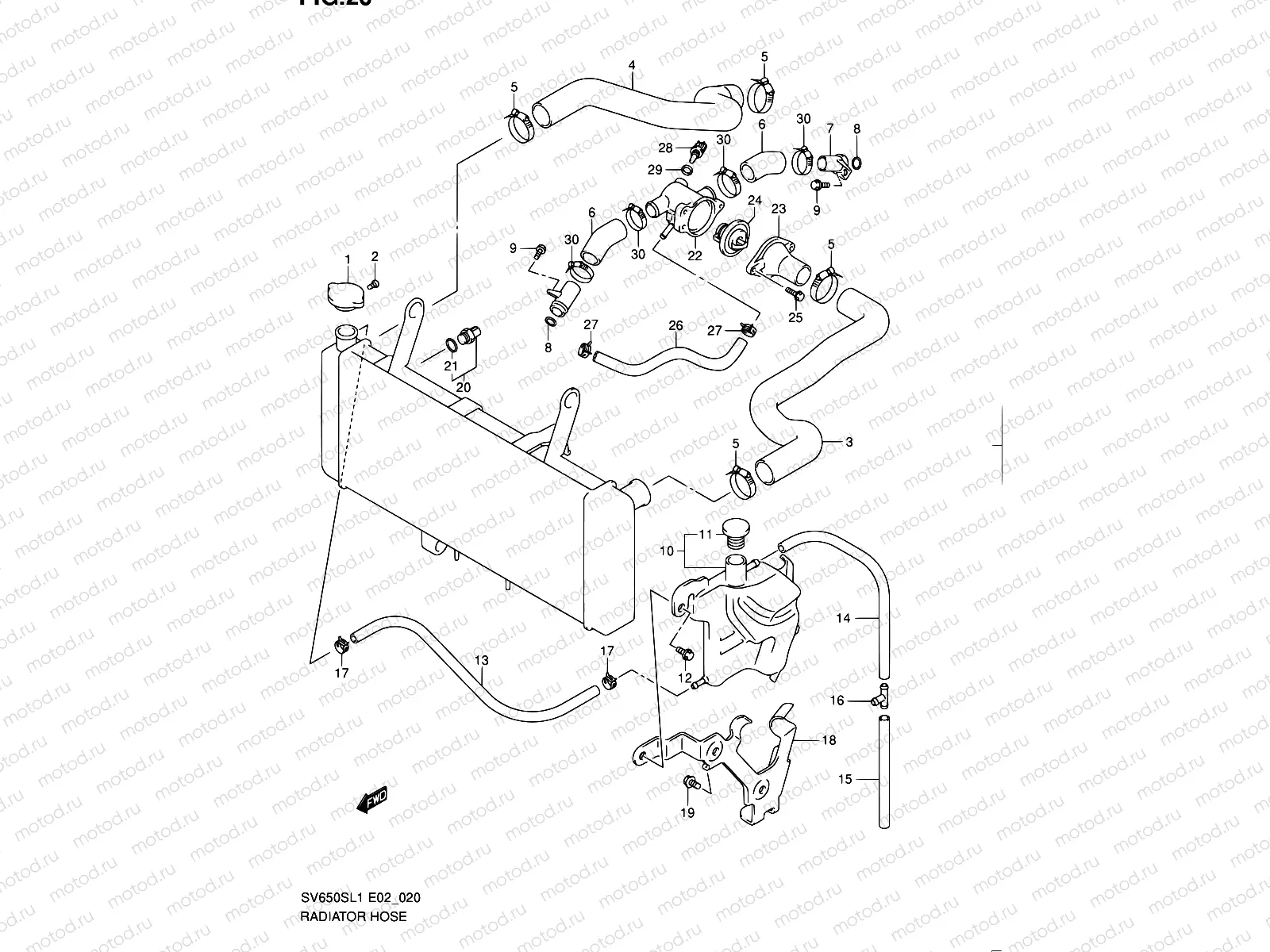 20 - RADIATOR HOSE