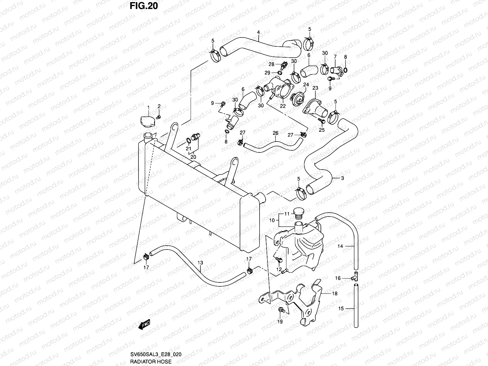 20 - RADIATOR HOSE