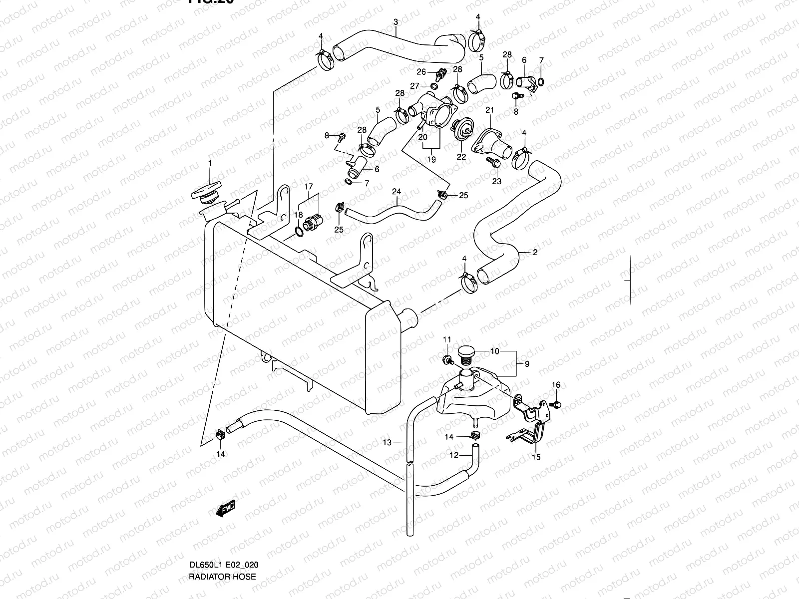 20 - RADIATOR HOSE